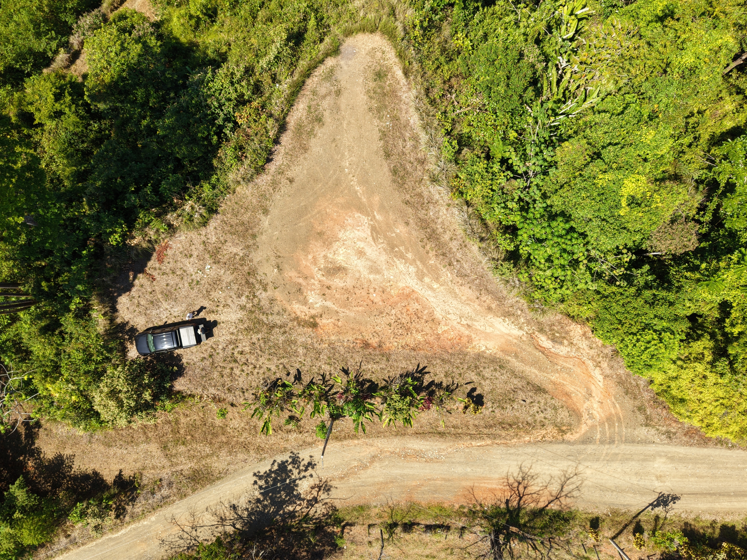 Costa Rica Worl Develpment Opportunity