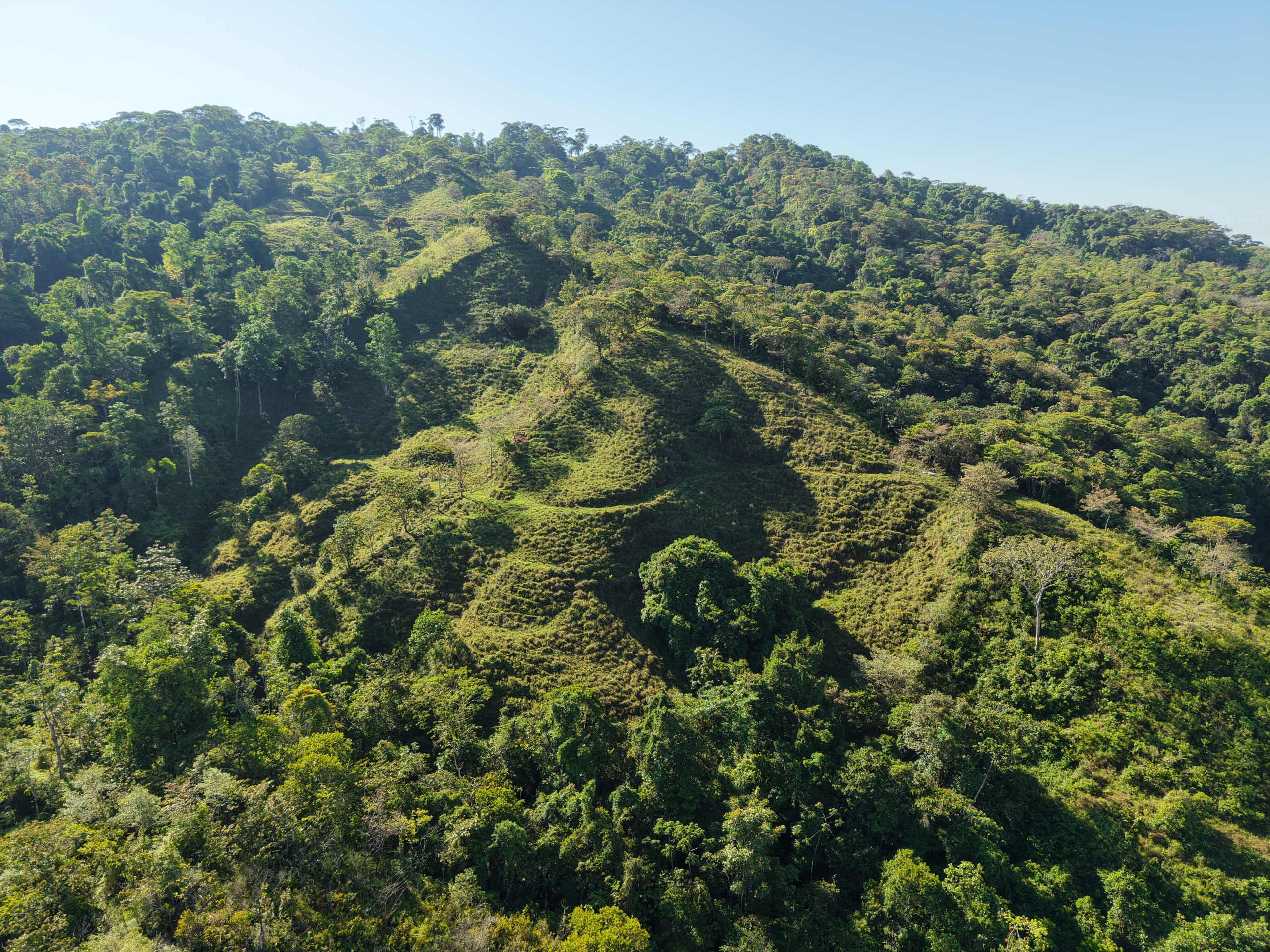 Investment and Development Opportunity