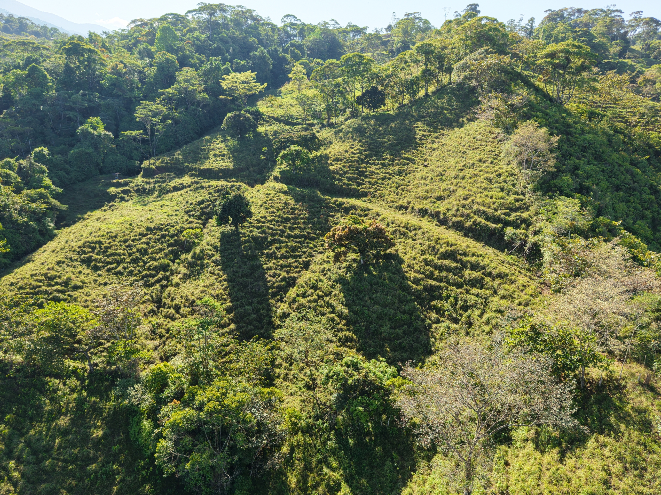 Investment and Development Opportunity