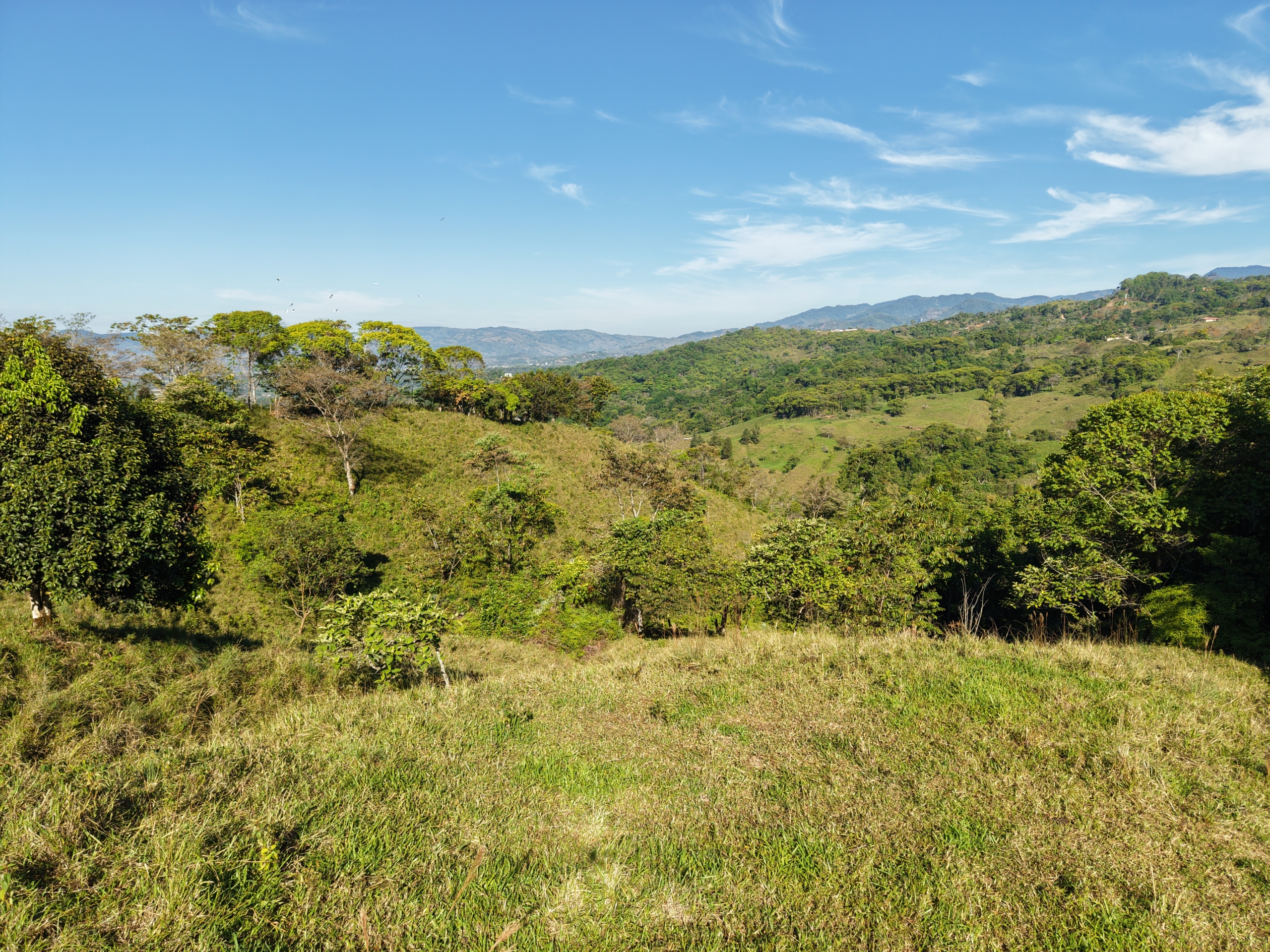 Investment and Development Opportunity