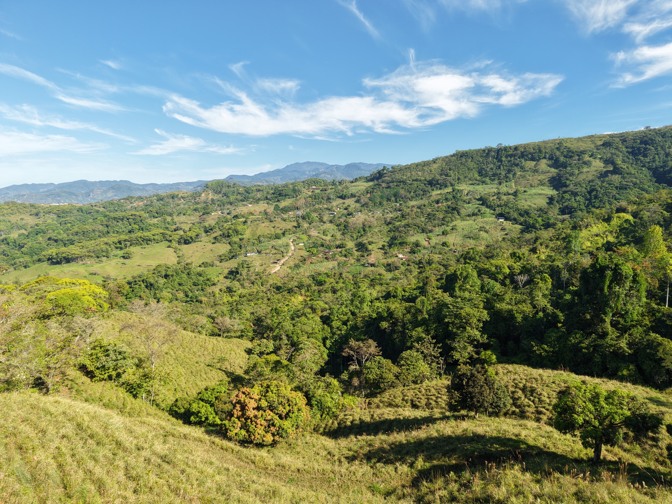 Investment and Development Opportunity