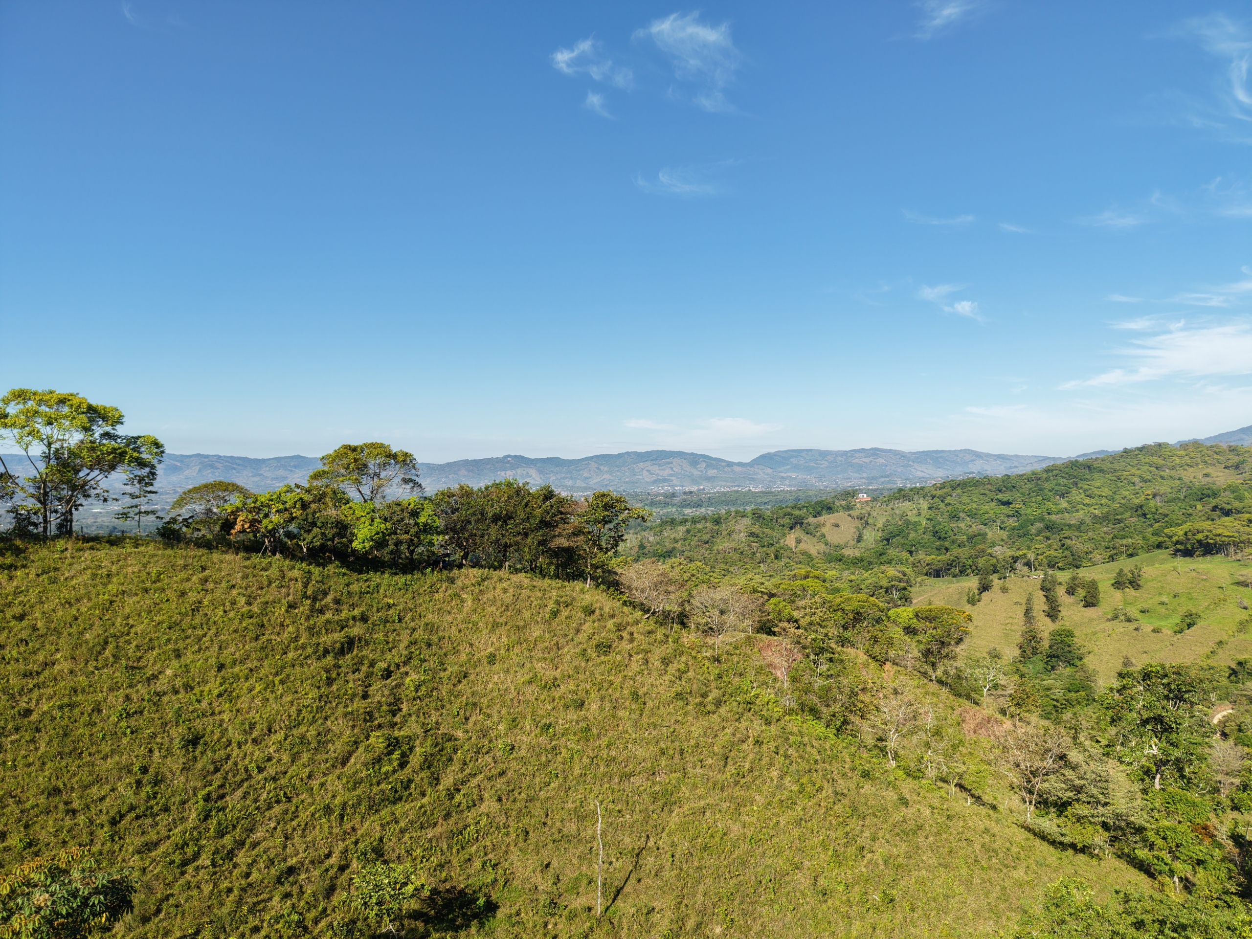 Investment and Development Opportunity