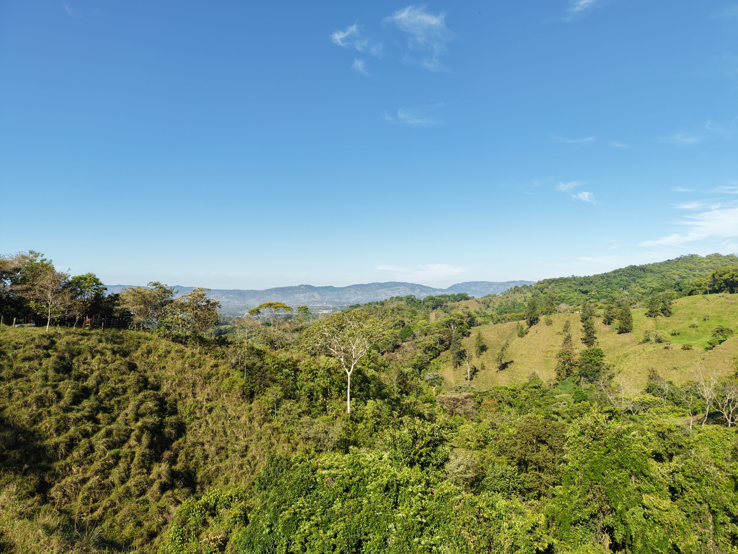 Investment and Development Opportunity