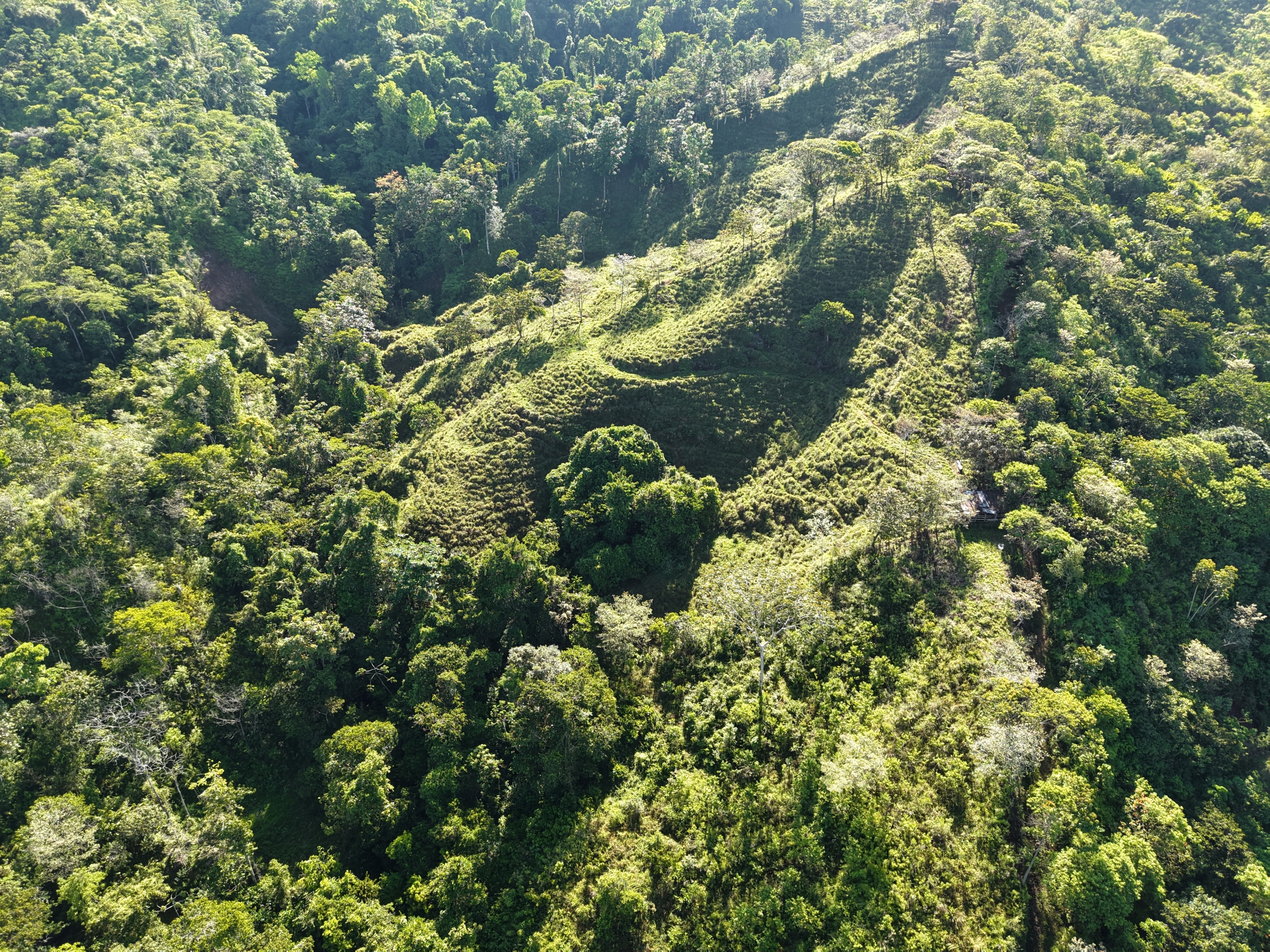 Investment and Development Opportunity