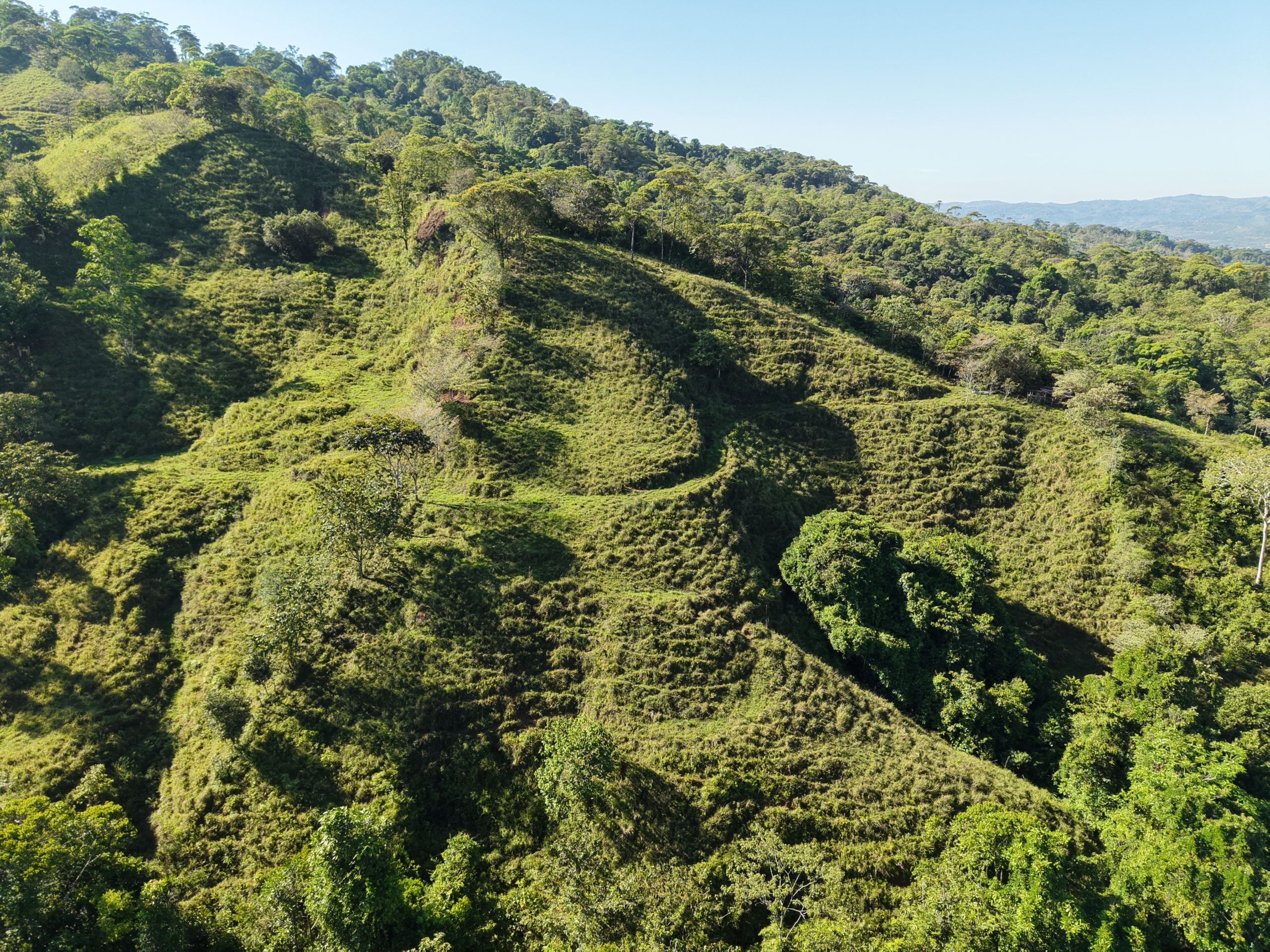 Investment and Development Opportunity