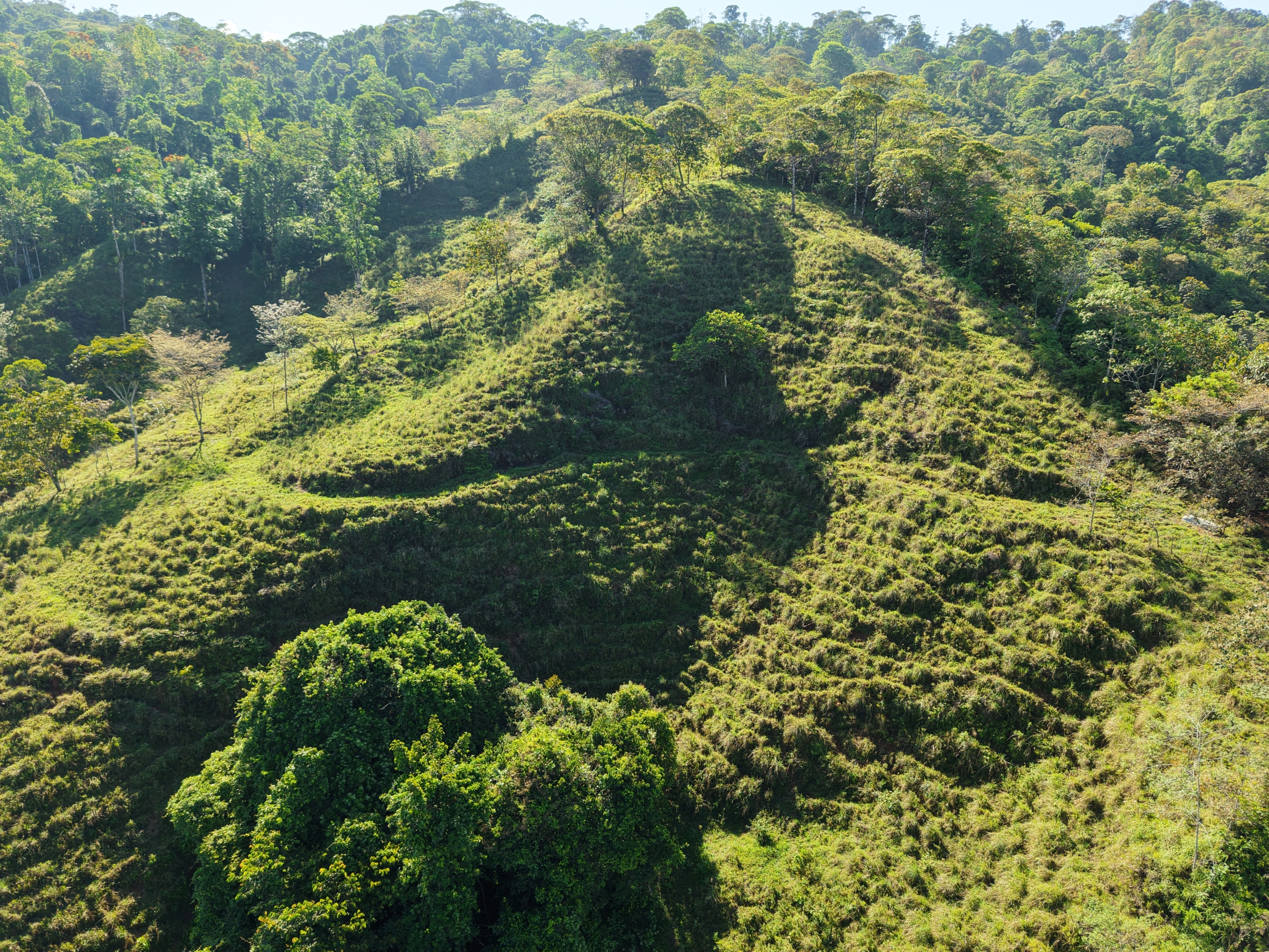 Investment and Development Opportunity