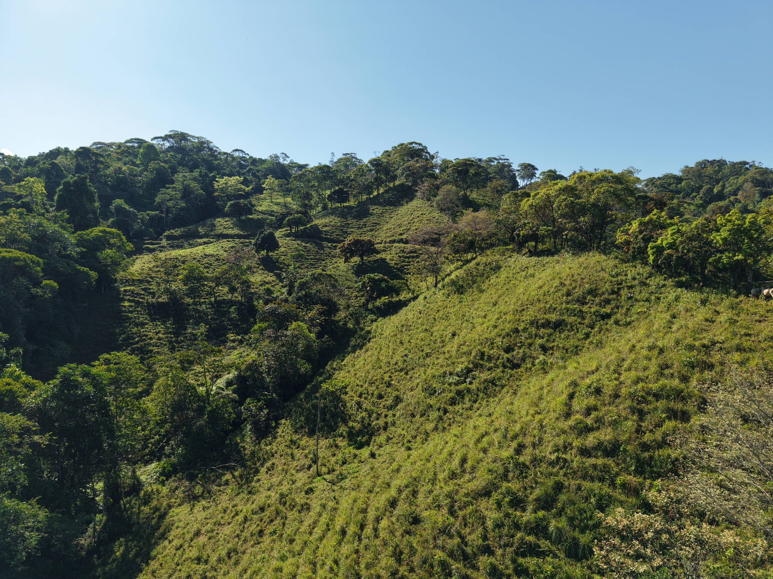 Investment and Development Opportunity