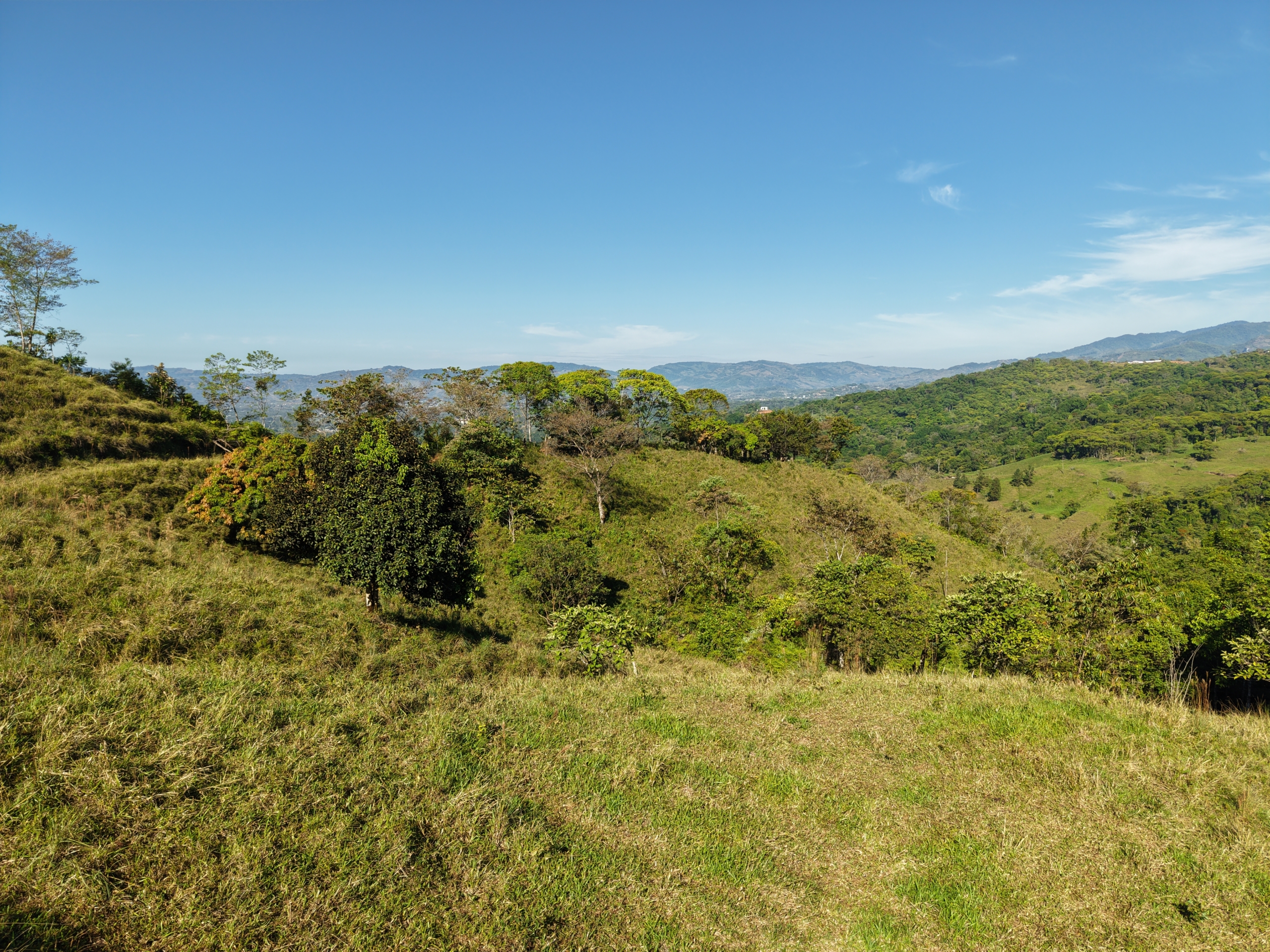 Investment and Development Opportunity