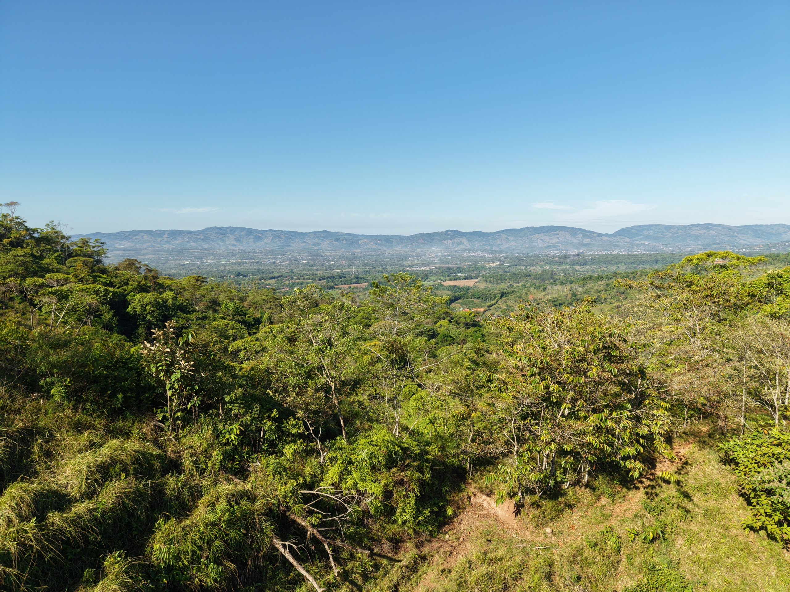 Investment and Development Opportunity