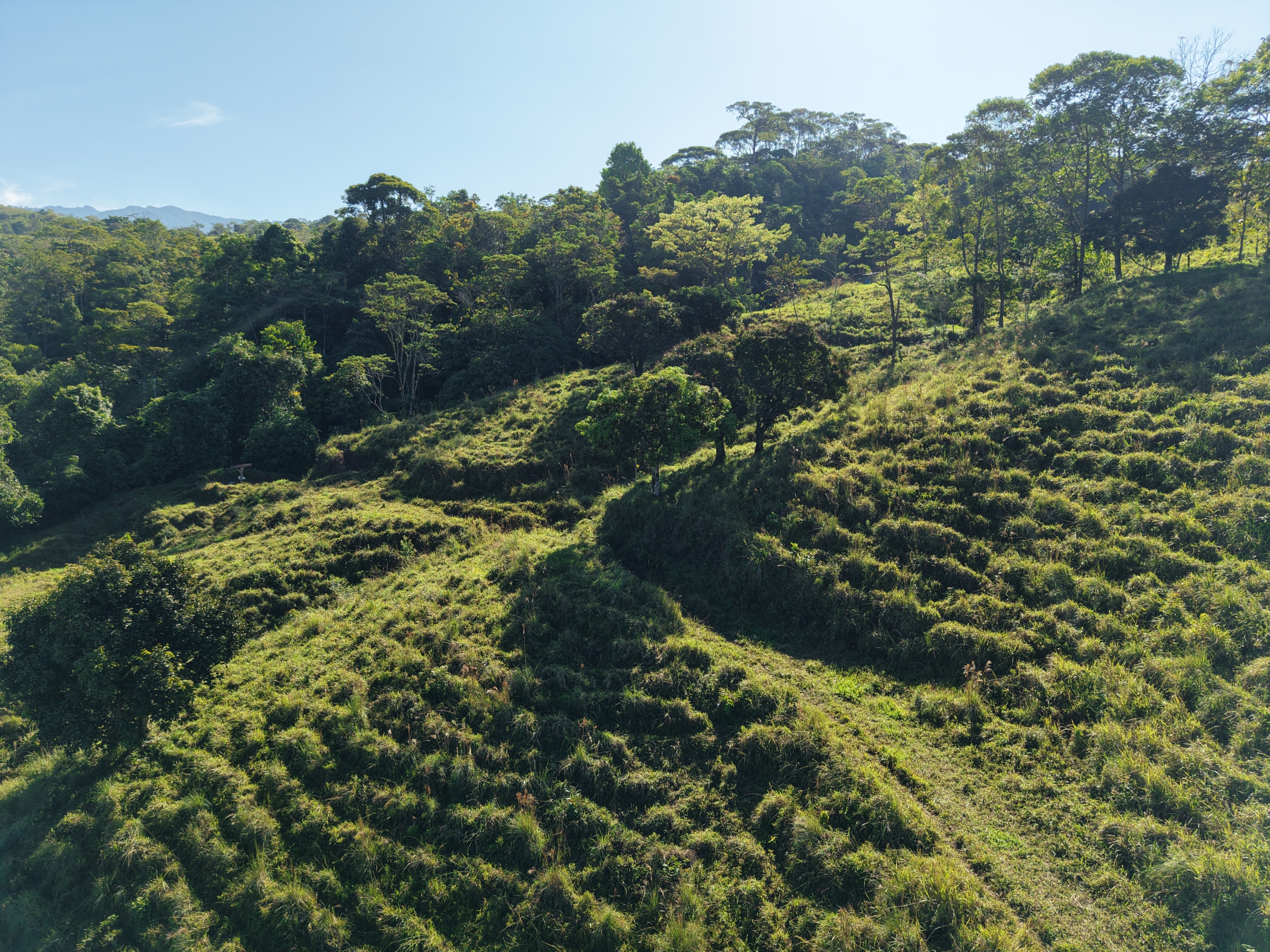 Investment and Development Opportunity