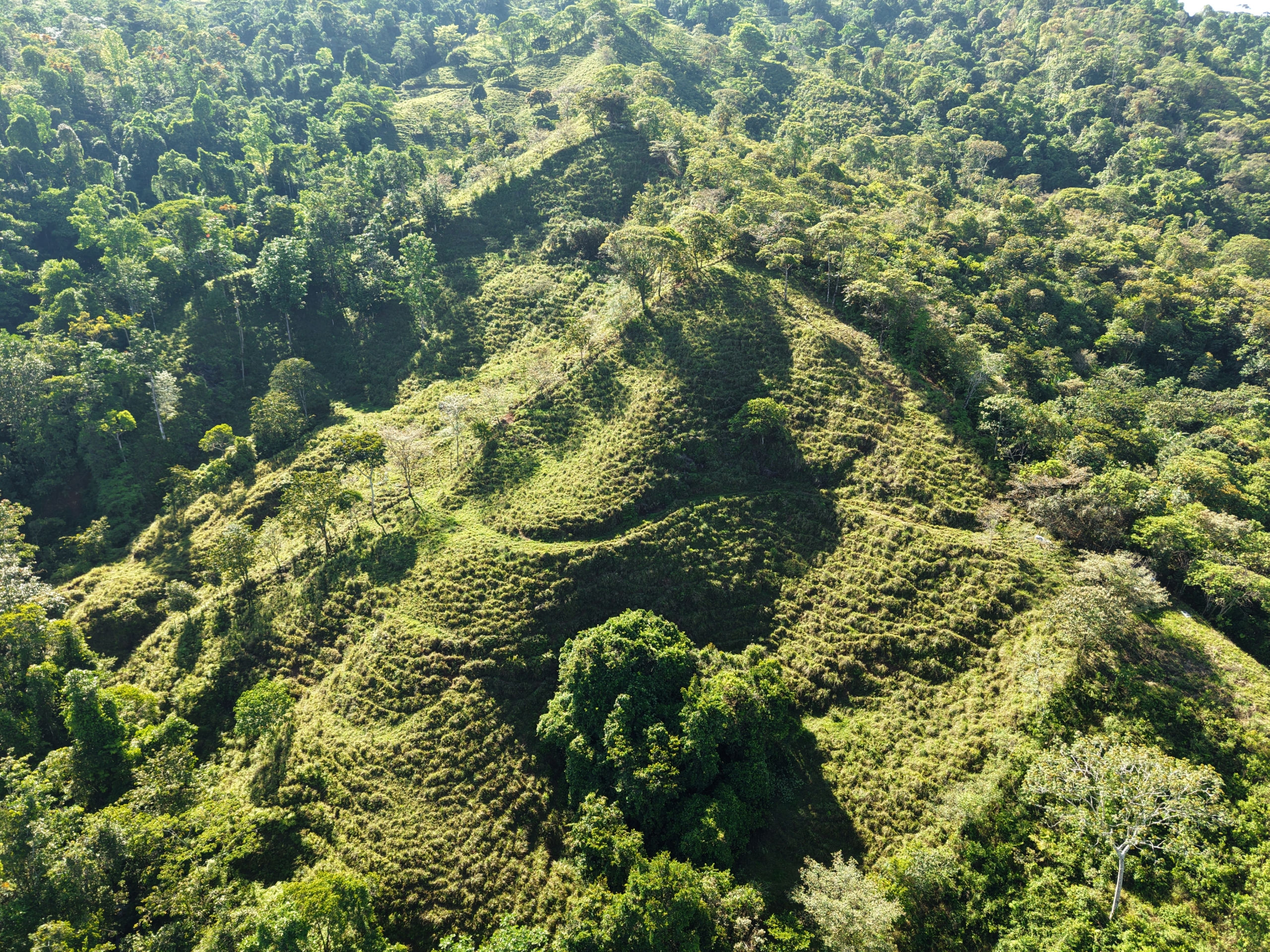 Investment and Development Opportunity