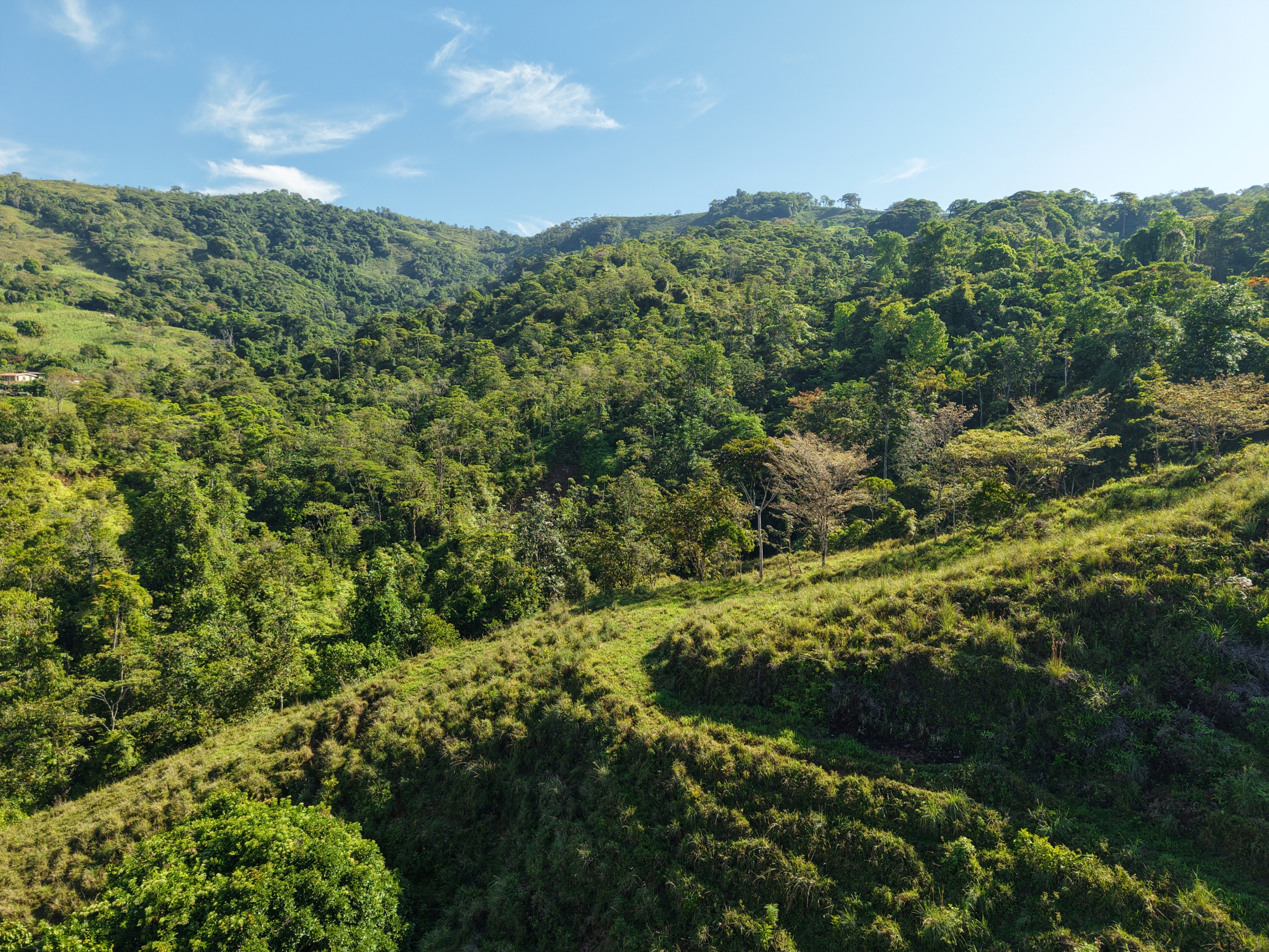 Investment and Development Opportunity