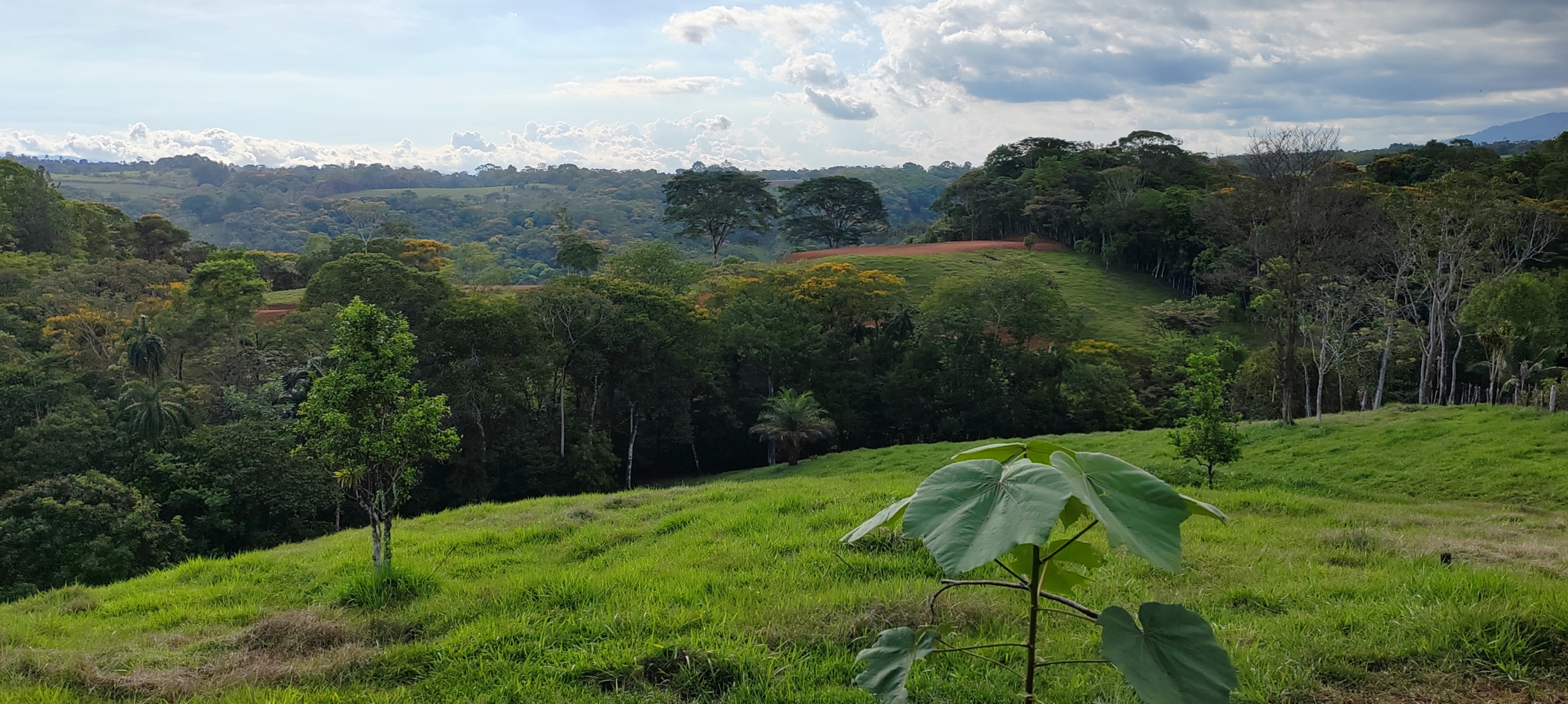 photo of a Costa Rica property