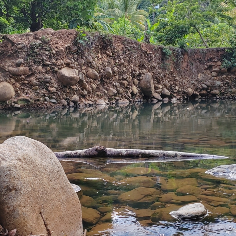 photo of a Costa Rica creek