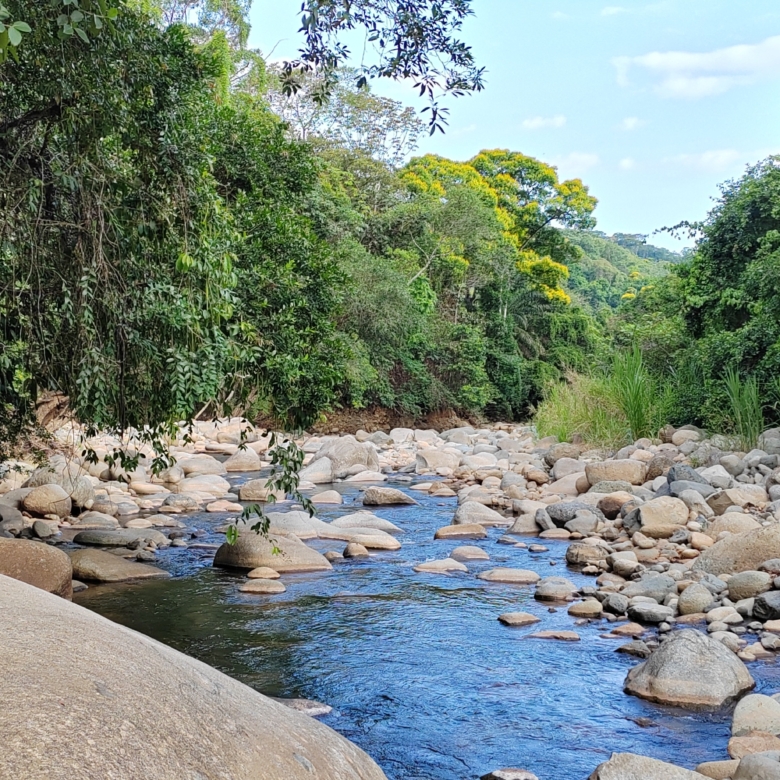 photo of a Costa Rica creek