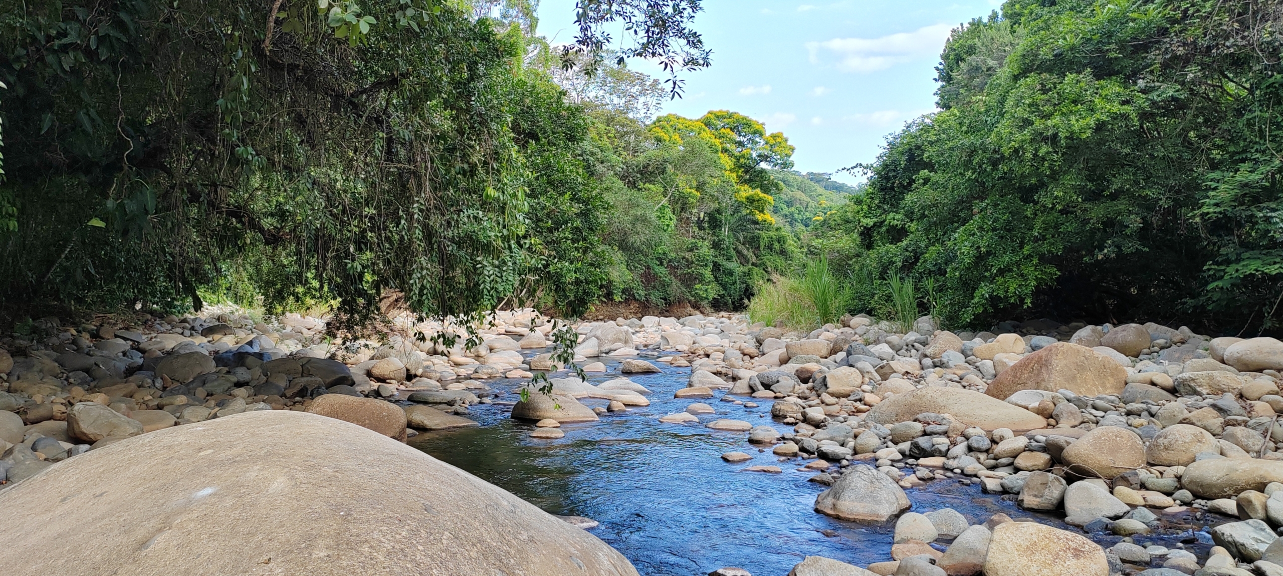 photo of a Costa Rica creek