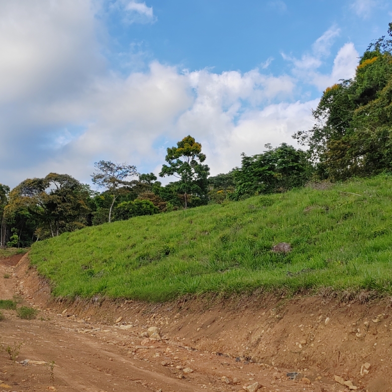 photo of a Costa Rica property internal road