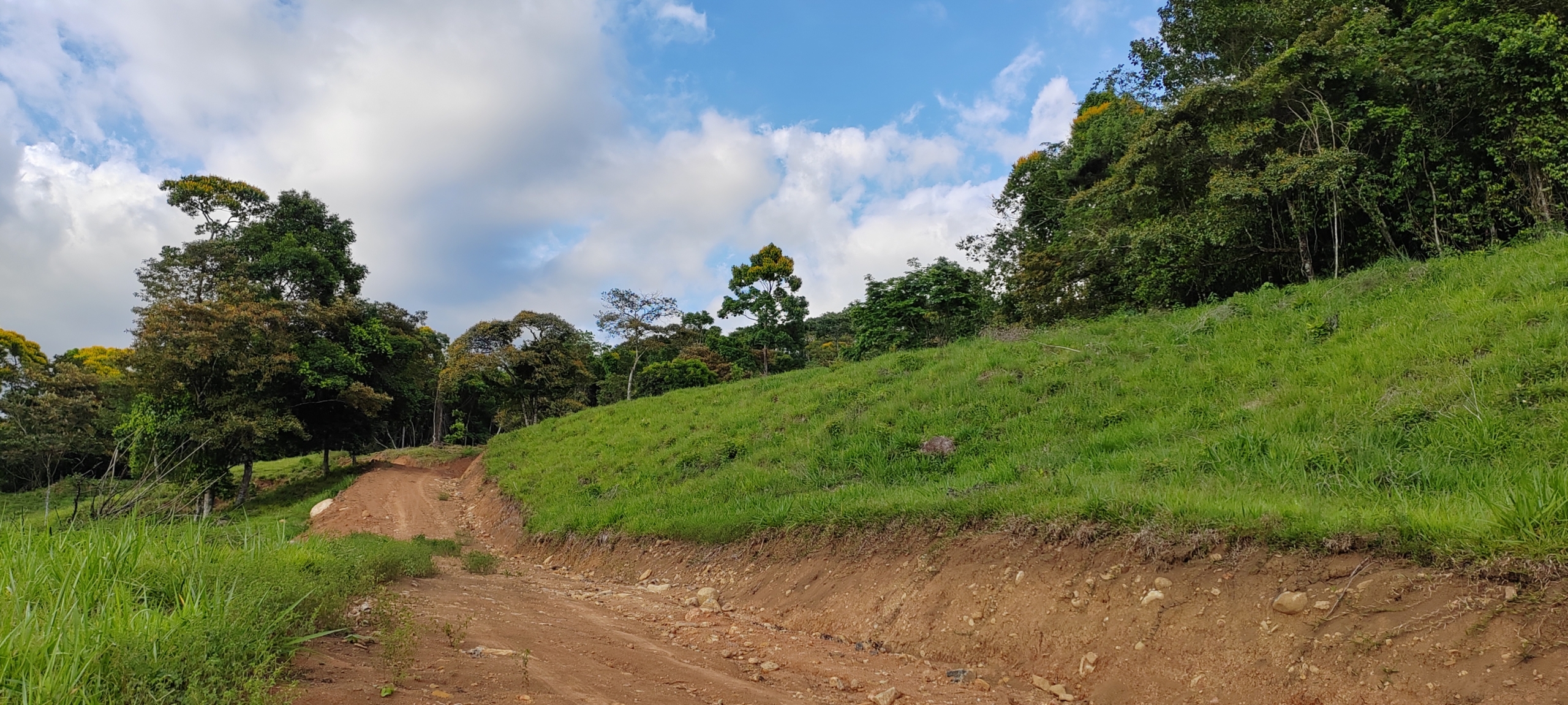 photo of a Costa Rica property internal road
