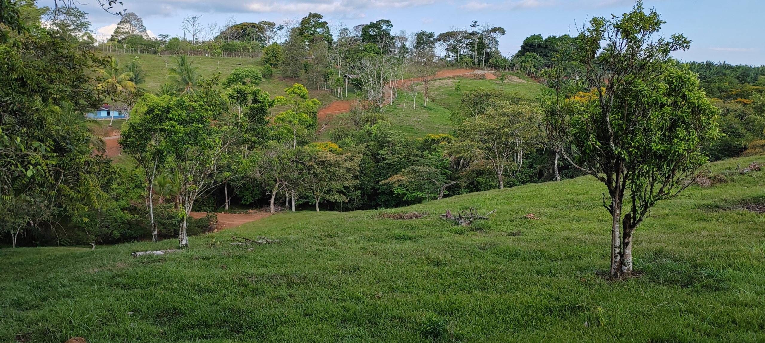 photo of a Costa Rica property secondary forest