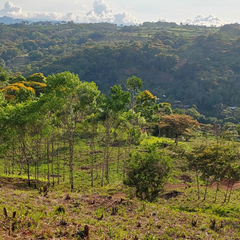 photo of a Costa Rica property valley view