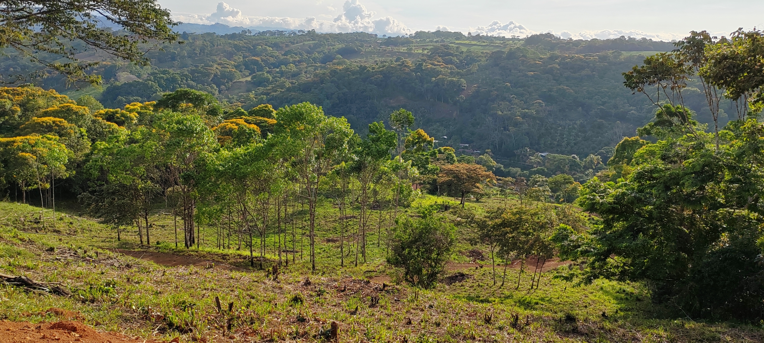 photo of a Costa Rica property valley view
