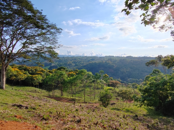 photo of a Costa Rica property valley view