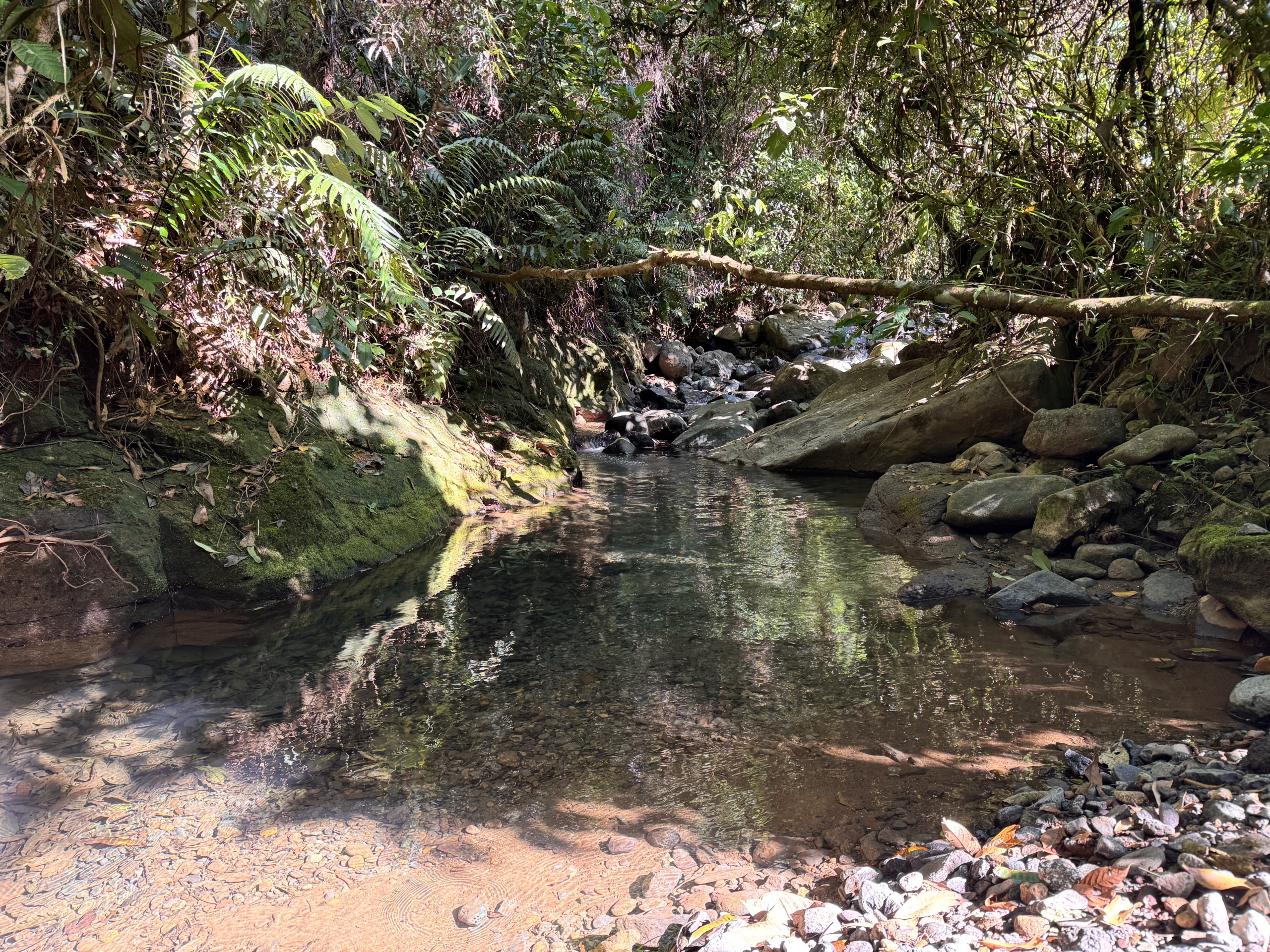 Investment and Development Opportunity