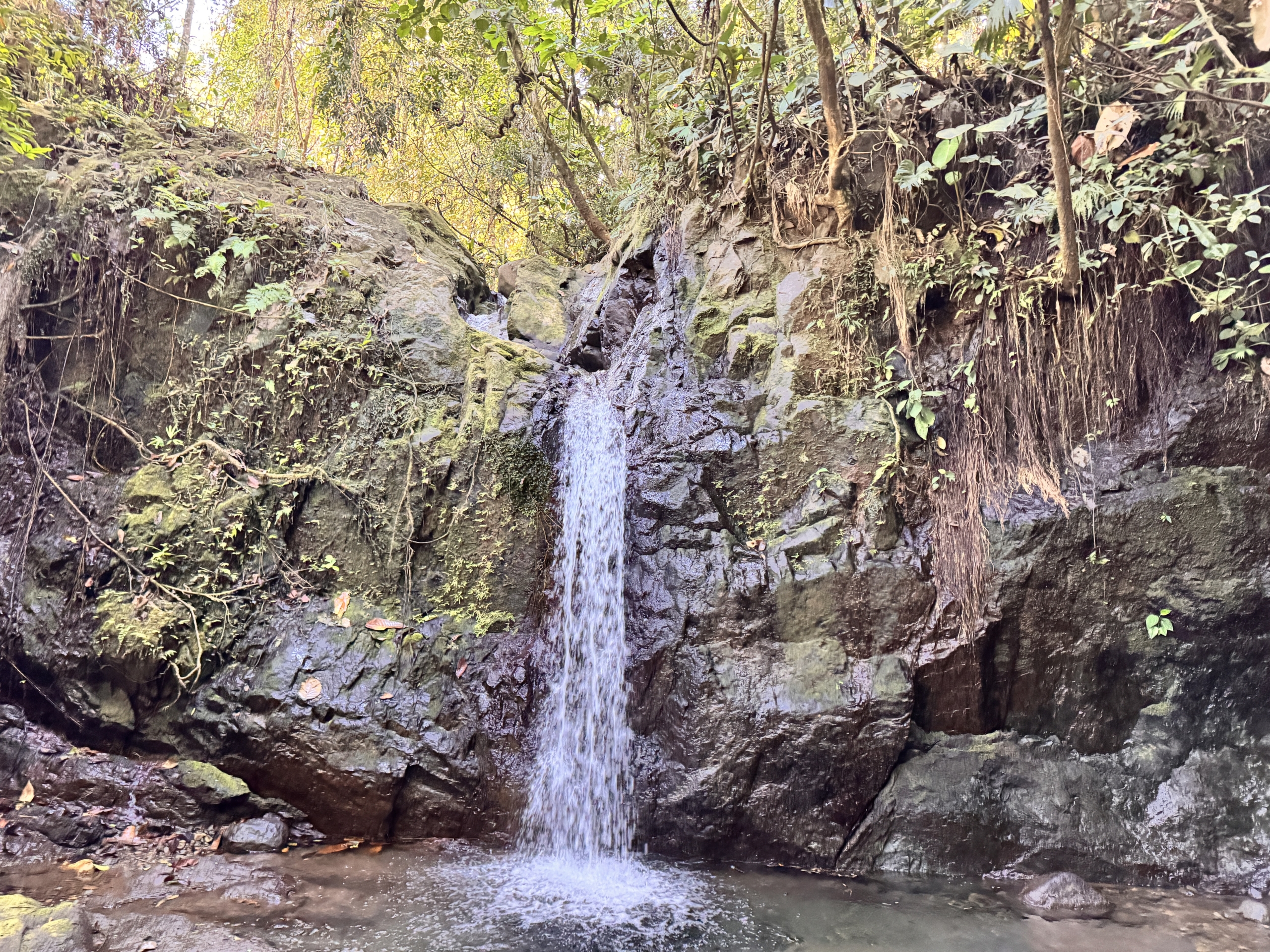 Investment and Development Opportunity