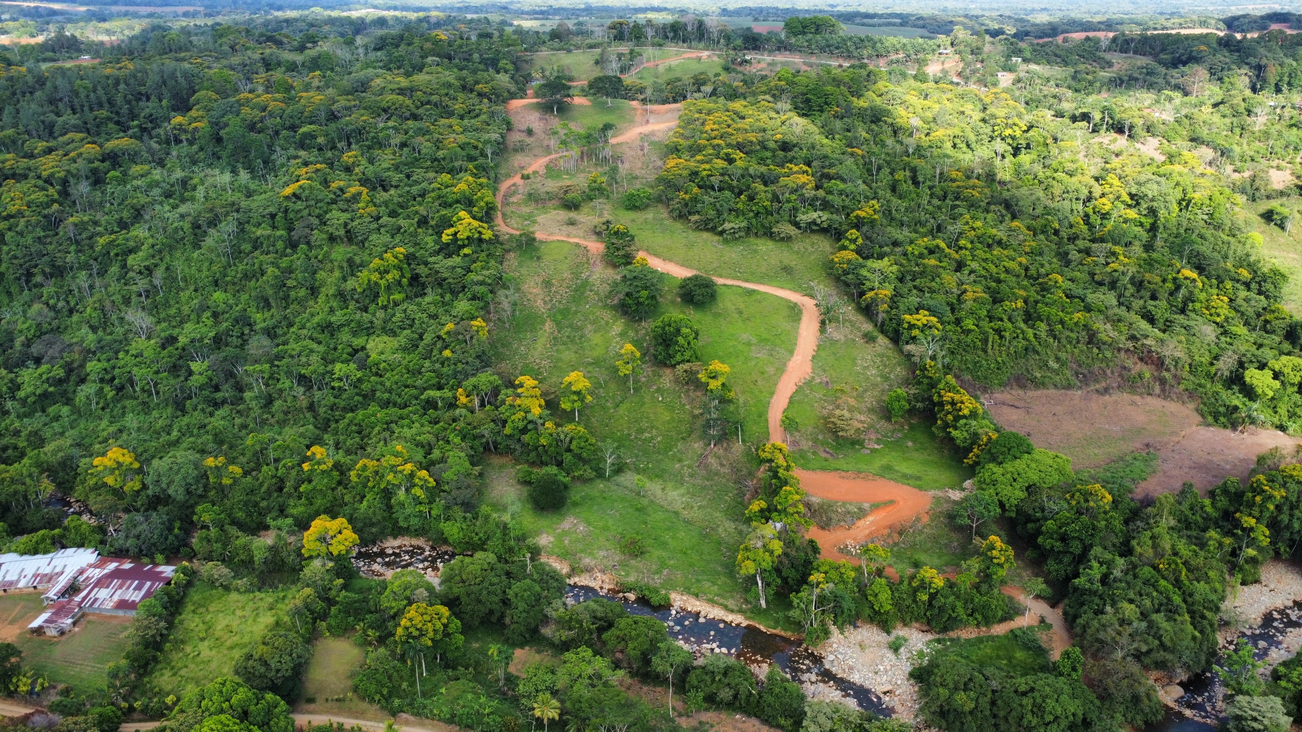 drone photo of Costa Rica land