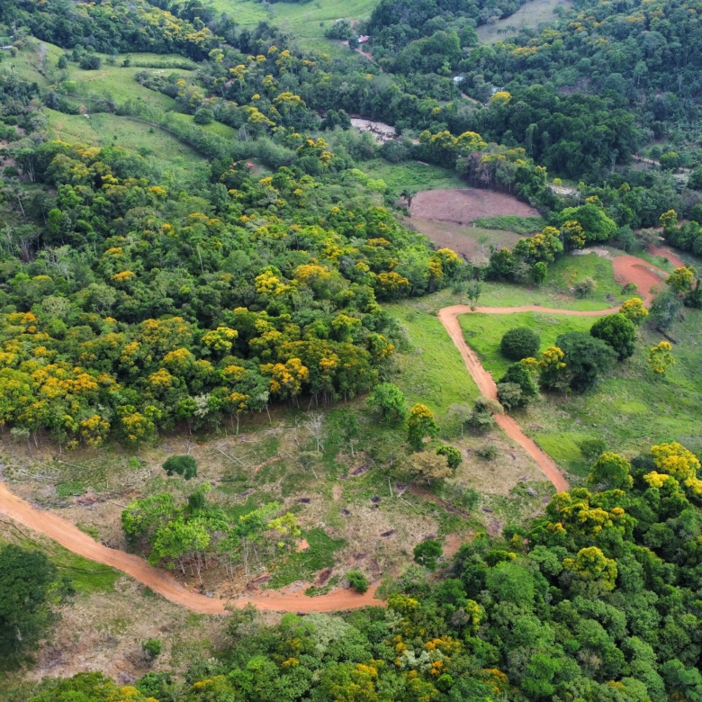drone photo of Costa Rica land