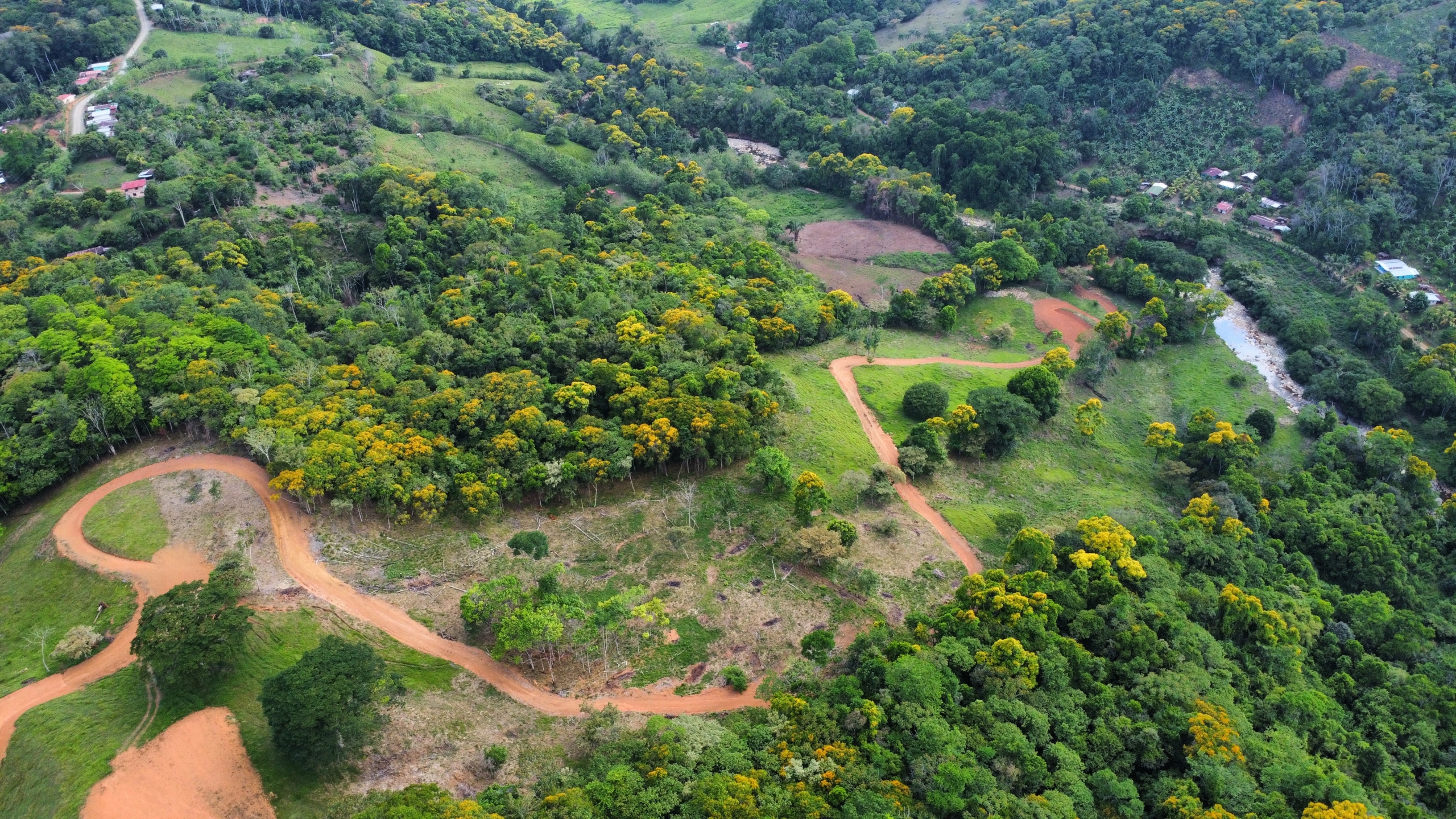 drone photo of Costa Rica land